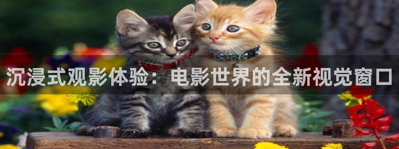 神马电影院福利