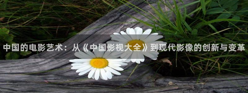 神马51伦理