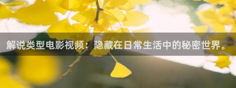 神马一级伦理片