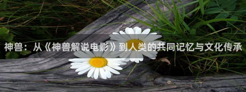 神马影院光棍影院