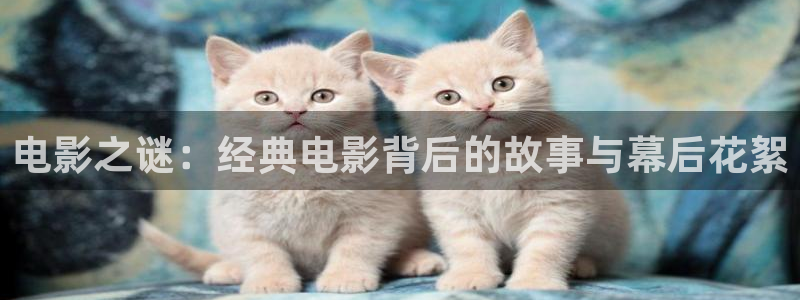神马电影午夜不限制