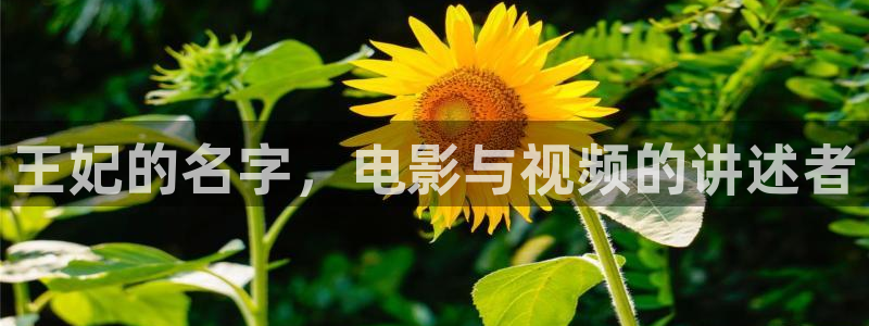 神马影院不卡网