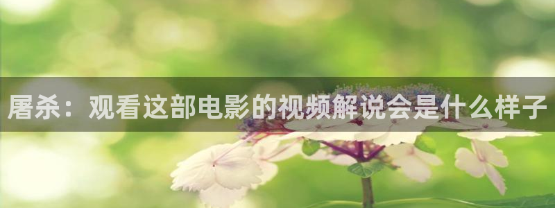 新闻图片