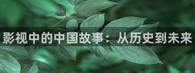 无敌神马 电影免费播放