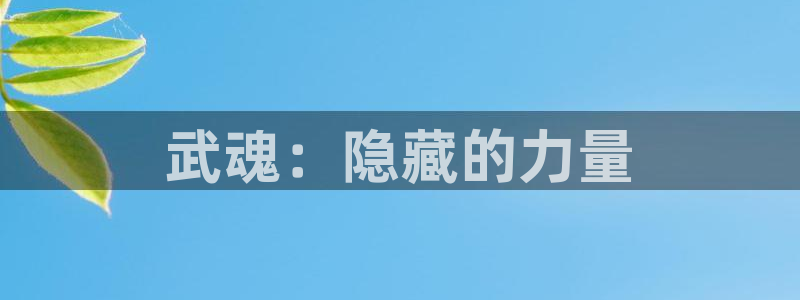 神马影院伦理在线播放