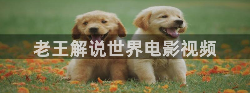 原来神马影院免费看