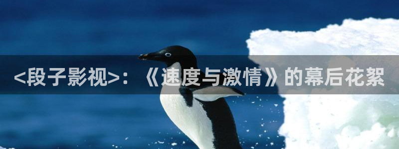 神马电影院第九超影院达达兔