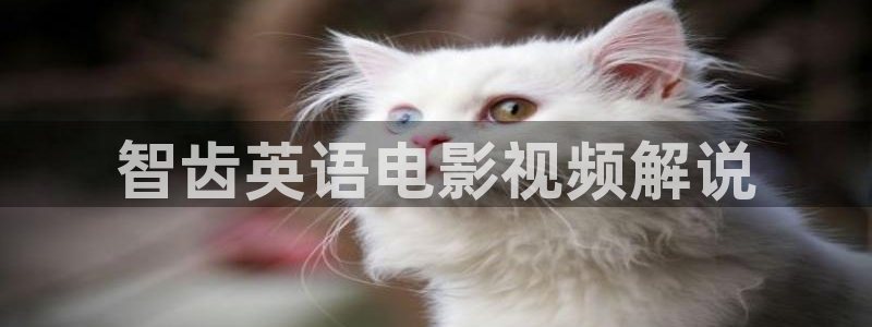 神马影院免费看