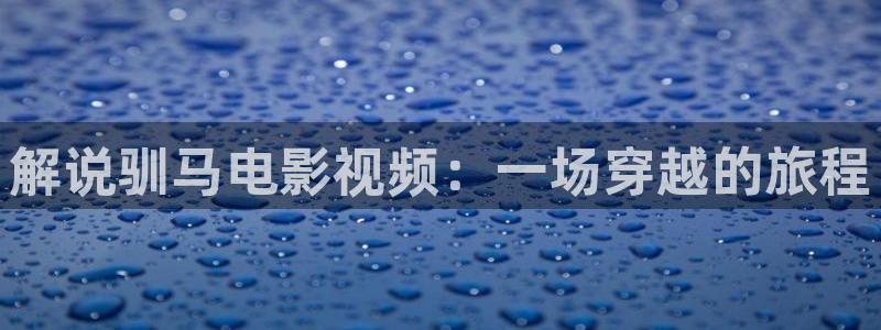 神马影院免费观看电影