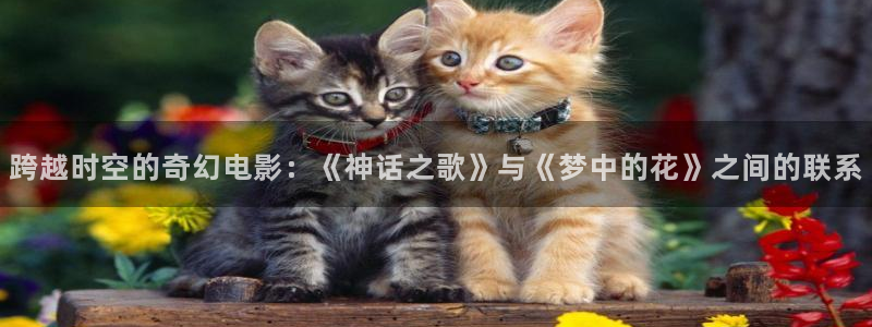 好男人神马电影